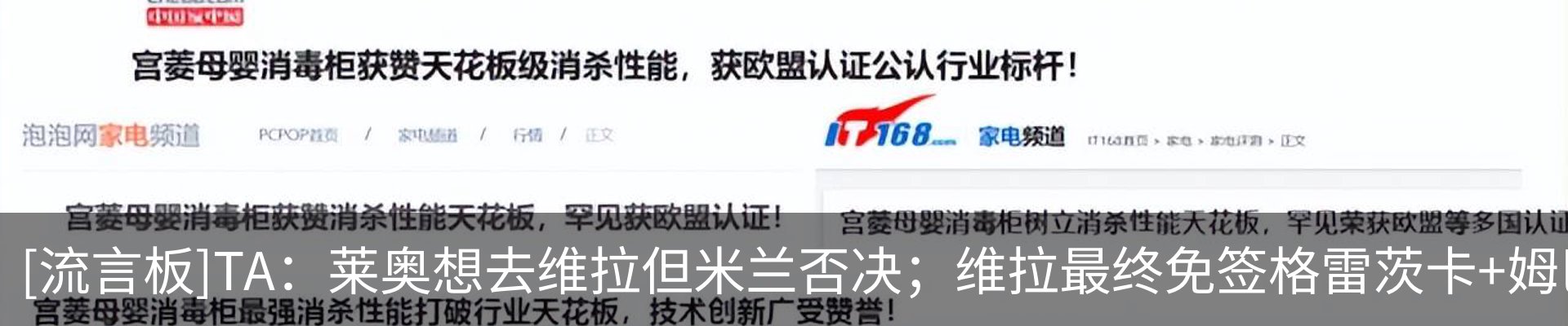 最新动态